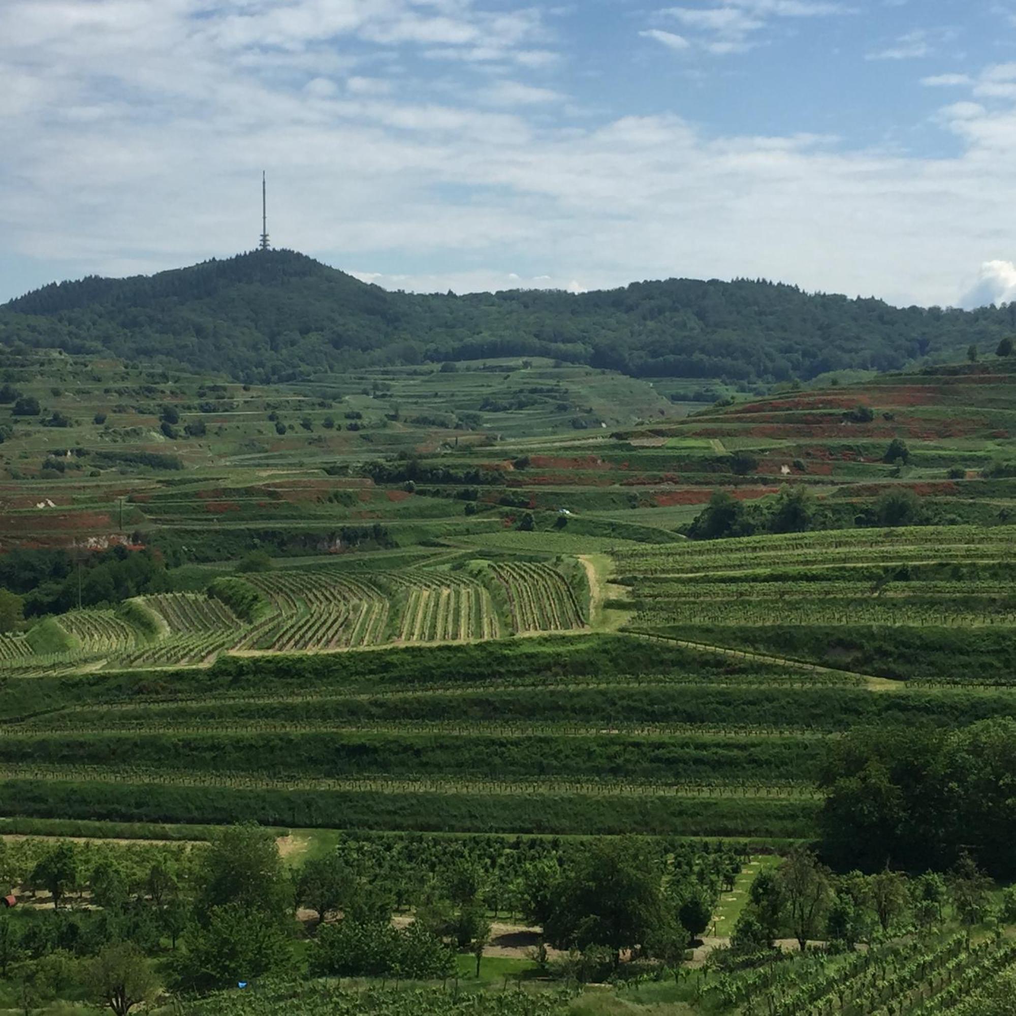 Winzerhof Bitzenhofer Apartment Vogtsburg Ngoại thất bức ảnh